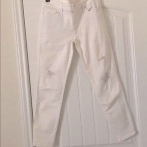 WHBM White, Distressed & Lace, Skinny Crop Pant